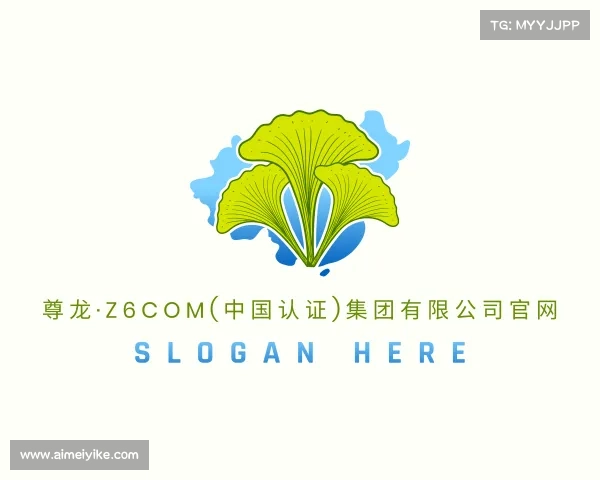 手机版尊龙·z6com(中国认证)集团有限公司官网